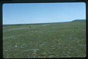 Badger Creek, Montana - looking toward Two Medicine Fight site