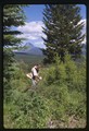 North Fork, Montana - Dave Walter pruning brush