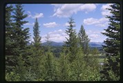 North Fork, Montana - view north from Walter's deck