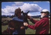 Patterson Ranch near Sisters, Oregon - Ivan Doig petting a young llama