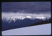 Olympic National Park, Washington - snowy mountains at Hurricane Ridge