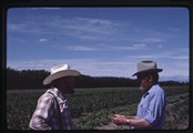 New Rockport Colony, Pendroy, Montana - Examining crops