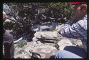 Gary Hammond studies Fossils atop Pine Butte