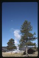 Old Faithful erupting