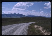 Moiese, Montana - two deer stand on the ridge of a hill