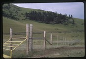 Moiese, Montana - detail of fencing and cattle guard