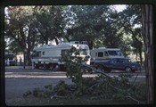 Montana Motorhome -Motorhomes and fallen cottonwood limb at Miles City, Montana KOA