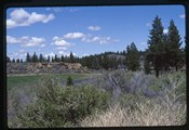 Bend, Oregon - Rock features and a road in Broken Top golf course