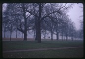 Horsemen ride in a foggy Hyde Park