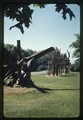 Wooden sculptures in Quebec park