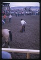 Dan Ringer after saddle bronc ride at White Sulphur Springs rodeo