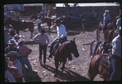 Waiting for the action to begin at White Sulphur Springs rodeo