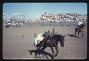 Man sliding off a bucking bronc at White Sulphur Springs rodeo