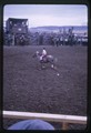 Barrel racer runs in the White Sulphur Springs rodeo corral