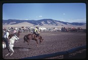 Three men on horses at White Sulphur Springs rodeo