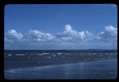 Whitecaps at the end of Leadbetter Point State Park
