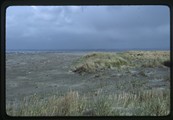 Looking north from Leadbetter Point State Park