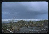 Ocean beach scene at Leadbetter Point State Park