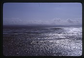 Looking east across tide flats at Leadbetter Point State Park