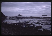Southward view of tidal bench from tidal trough at Rialto Beach