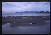 Shi Shi beach looking to Cape Flattery Lighthouse and Tatoosh Island