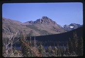 Semi-bare mountain landscape in Glacier National Park