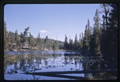 Glacier National Park - marsh filled lake