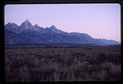 Grand Teton mountain range under a sunrise colored sky