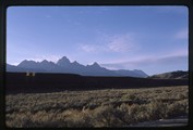 Cathedral Group of Grand Tetons in the distance