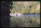 Steam rising off placid surface of Leigh Lake in Grand Tetons