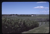 Dupuyer, Montana - shrub lined fence along cemetery boundary