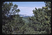 Rocky Mountain Front from knob above Den Boer's