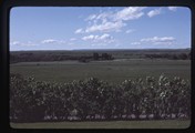 Looking north of Dupuyer, Montana from the cemetery