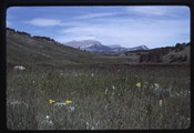 Looking north toward Castle Reef in the Rocky Mountain Front