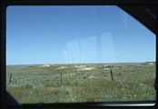West of Jordan, Montana - antelope running on prairie hillside