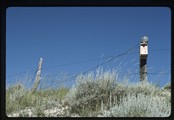 West of Jordan, Montana - bird house on fencepost