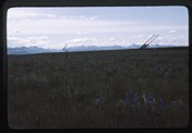 Rockies and beaverslide stacker near Dupuyer
