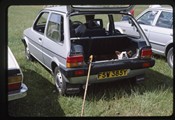 Edinburgh, Scotland - Sheep dog trials, dog in car