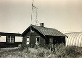 Ringling, Montana - Bessie Ringer\