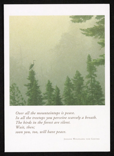 Condolence letters, April 22-28, 2015