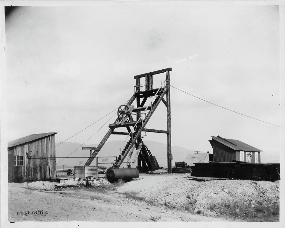 Gallus Frame