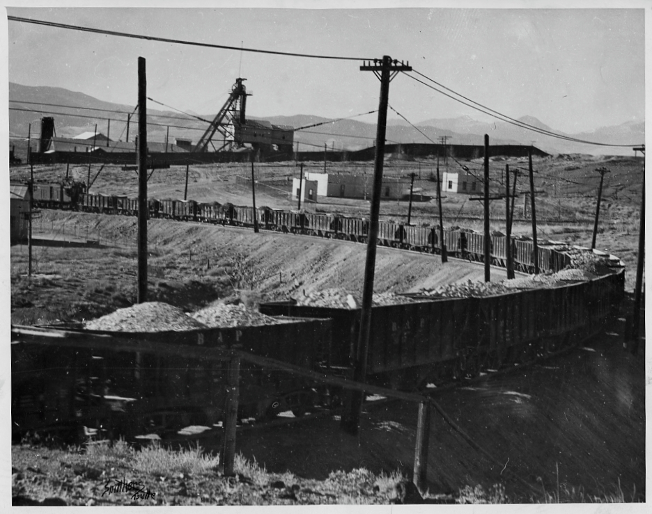 Railroad cars loaded with coal
