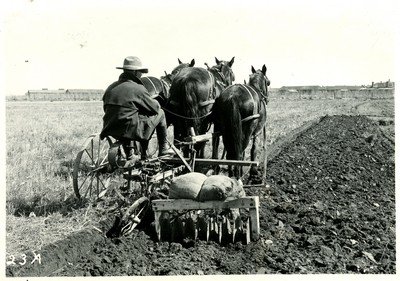 Homemade Disk Packer for Gang Plow