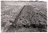 Plowing