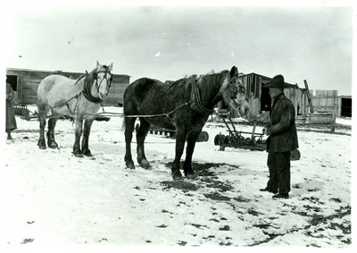 Tandem Rope Harnessless Hitch