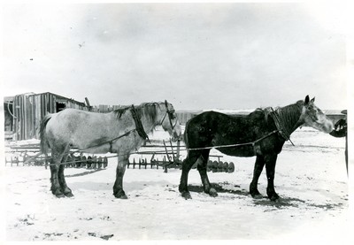 Tandem Harnessless Rope Hitch