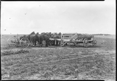Field Feed Rack