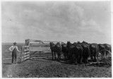 Field Feed Rack