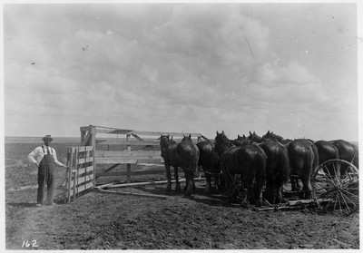 Field Feed Rack