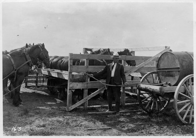 Field Feed Rack